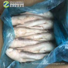 IWP seafood fish frozen grey mullet wholesale 1.2-1.5kg